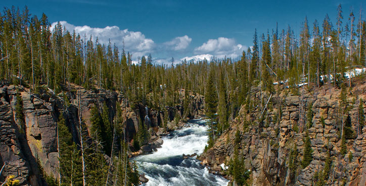 Yellowstone National Park Canyon Photo of Lewis River
