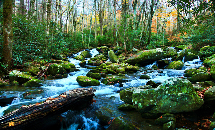 River rapids in the Smoky Mountains National Park near Gatlinburg, TN.